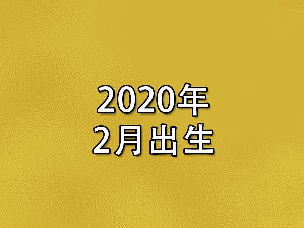 2020年2月出生-2020年2月出生