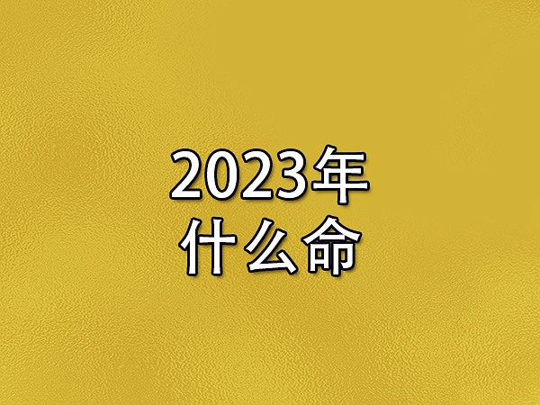 2023年什么命-2023年属性五行是什么