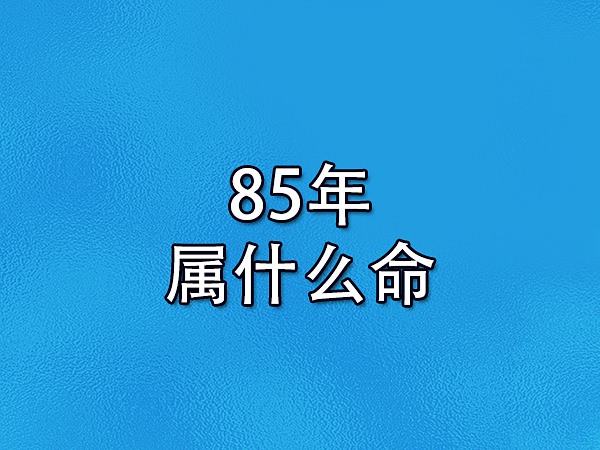 85年属什么命：属牛木牛之