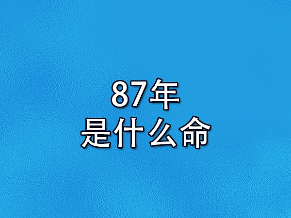 87年是什么命-87年属兔是什么命