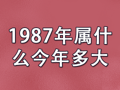 1987年属什么今年多大-87年生2022年多大