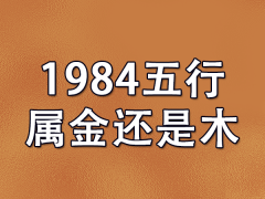 1984五行属金还是木-84年出生的人五行属什么