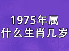 1975年属什么生肖几岁-