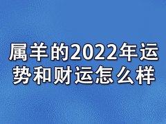 属羊的2022年运势和财运怎么样：好运年(财运不稳)