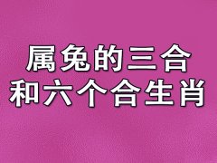 属兔的三合和六个合生肖：属羊/属猪/属狗