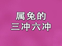 属兔的三冲六冲：属鼠/属牛/属龙/属鸡/属马