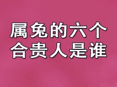 属兔的六个合贵人是谁：属狗的人(互助互补)