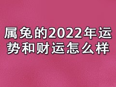 属兔的2022年运势和财运怎么样：时来运转(财运乐观)