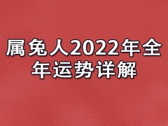 属兔人2022年全年运势详解：吉凶参半(凡事多手准备)