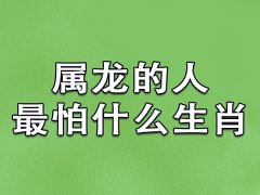 属龙的人最怕什么生肖：