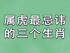 属虎最忌讳的三个生肖:生