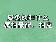 属兔的和什么属相最配、