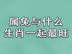 属兔与什么生肖一起最旺：属狗/属猪/属羊/属虎