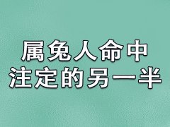 属兔人命中注定的另一半：属羊/属狗/属猪