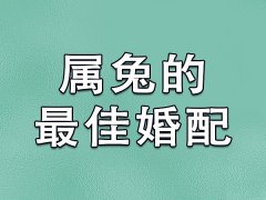 属兔的最佳婚配：属狗/属羊/属猪/属牛