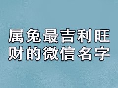 属兔最吉利旺财的微信名字-属兔旺财微信名