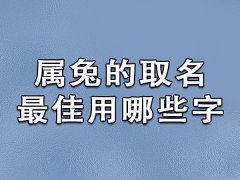 属兔的取名最佳用哪些字：芙/豪/善/桐/含/宜