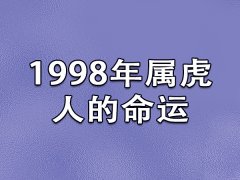 1998年属虎人的命运：运势