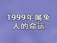 1999年属兔人的命运：命运不错(一生富有朝气)