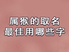 属猴的取名最佳用哪些字