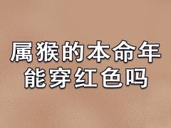 属猴的本命年能穿红色吗