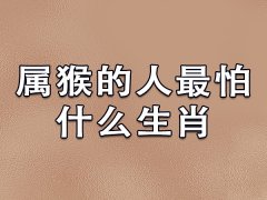 属猴的人最怕什么生肖：