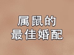 属鼠的最佳婚配：属龙/属