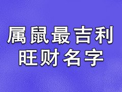 属鼠最吉利旺财名字：智