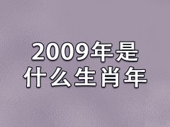 2009年是什么生肖：生肖牛