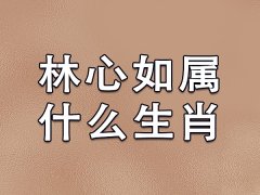 林心如属什么生肖：生肖