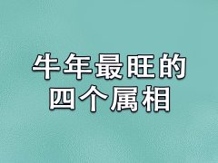 牛年最旺的四个属相：属