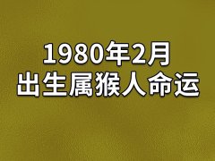 1980年2月出生属猴人命运：