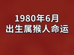 1980年6月出生属猴人命运：先苦后甜(晚年衣食丰厚)