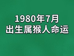 1980年7月出生属猴人命运：命运不错(衣禄丰厚)