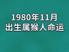 1980年11月出生属猴人命运：命运一般(不喜安于现状)