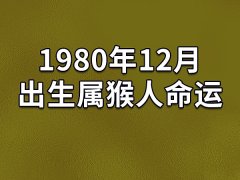 1980年12月出生属猴人命运：命运很好(吃喝不愁)