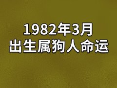 1982年3月出生属狗人命运：