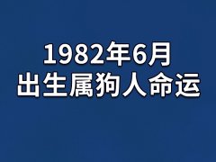 1982年6月出生属狗人命运：