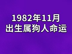 1982年11月出生属狗人命运