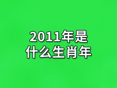 2011年是什么生肖年:生肖兔年/生肖虎年