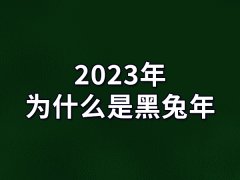 2023年为什么是黑兔年-