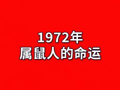 1972年属鼠人的命运:命运