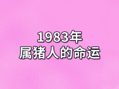 1983年属猪人的命运:整体运