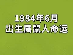 1984年6月出生属鼠人命运