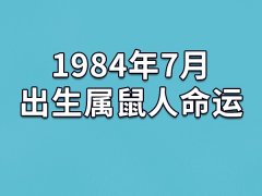 1984年7月出生属鼠人命运