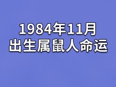 1984年11月出生属鼠人命运