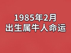 1985年2月出生属牛人命运