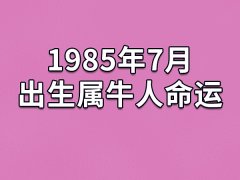 1985年7月出生属牛人命运