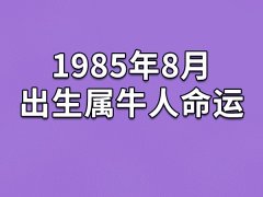 1985年8月出生属牛人命运