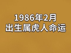 1986年2月出生属虎人命运